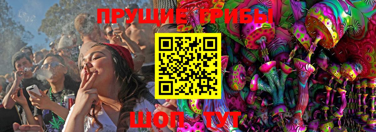 Геленджик  Псилоцибиновые грибы Psilocybe  Вход с VPN 